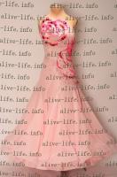 WB-3151　シュガーピンク